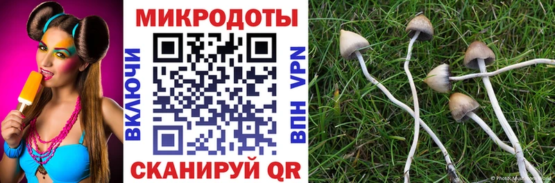 даркнет сайт Кропоткин Галлюциногенные грибы мицелий
