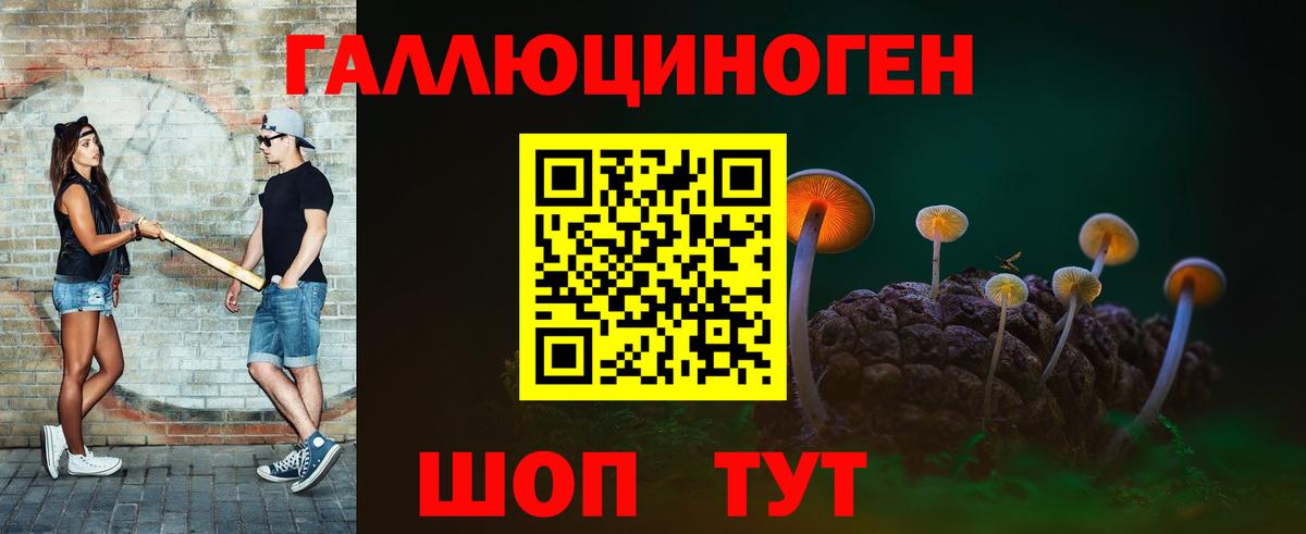 Кропоткин  Галлюциногенные грибы GOLDEN TEACHER  Вход с VPN 